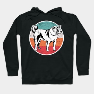 Vintage Retro Shiba Inu Hoodie